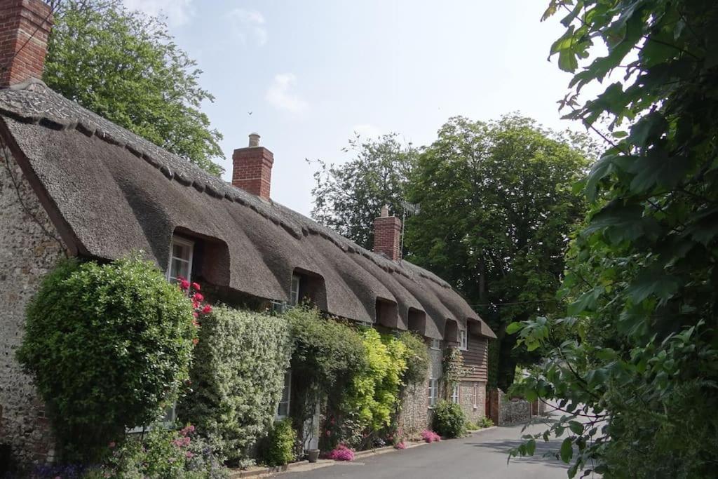 Little Thatch Cottage - Cerne Abbas, Dorset Dış mekan fotoğraf