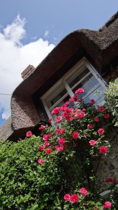 Little Thatch Cottage - Cerne Abbas, Dorset Dış mekan fotoğraf