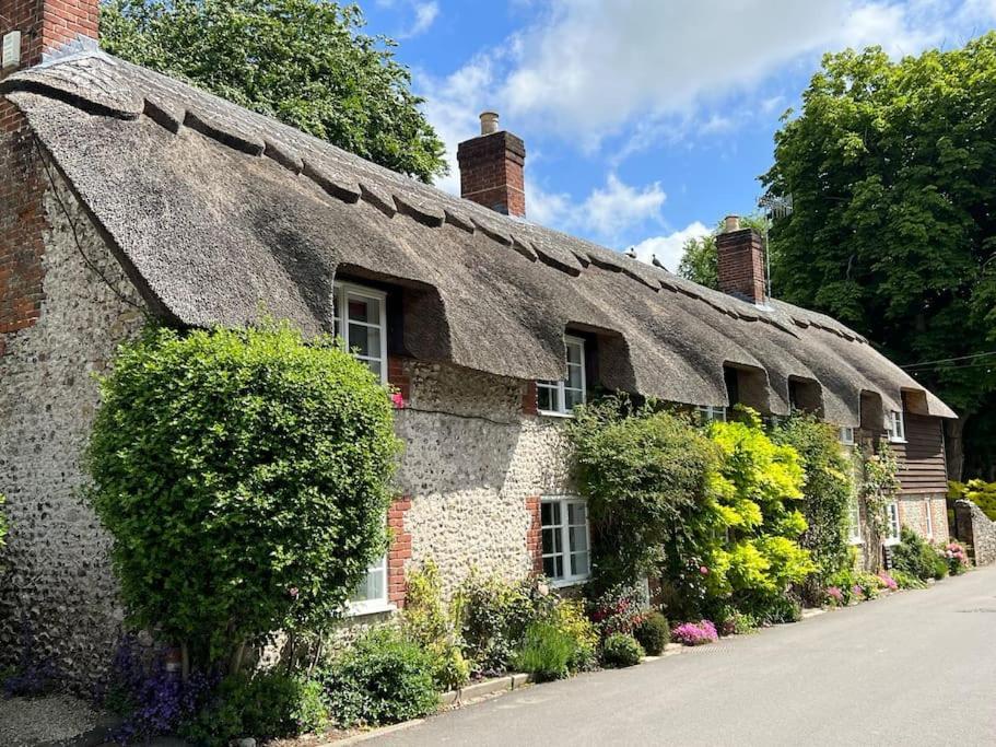 Little Thatch Cottage - Cerne Abbas, Dorset Dış mekan fotoğraf