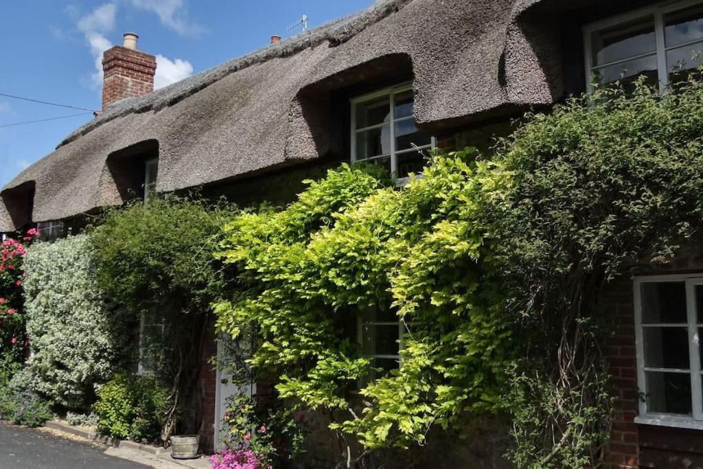 Little Thatch Cottage - Cerne Abbas, Dorset Dış mekan fotoğraf